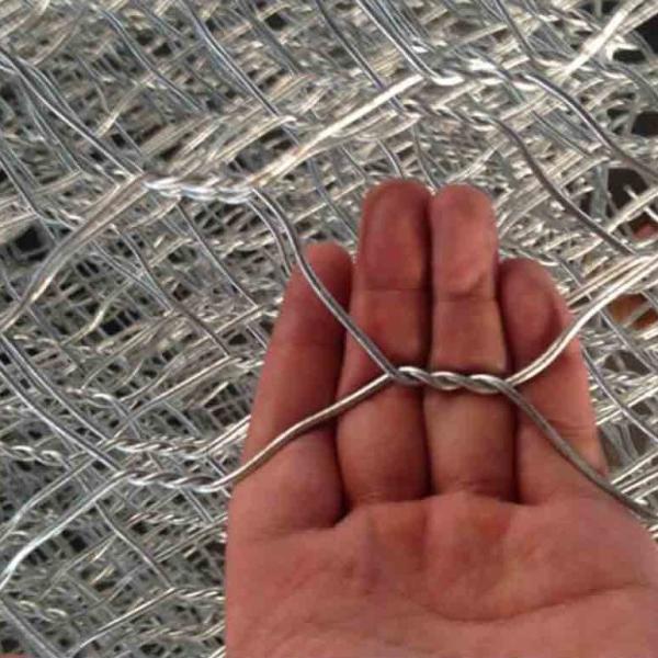 Best Selling PVC Galvanized Chicken Wire Hexagonal Wire Mesh
