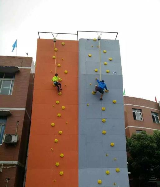 CE Certified M Size Rock Climbing Holds for Climbing Walls in Blue Color and Suitable