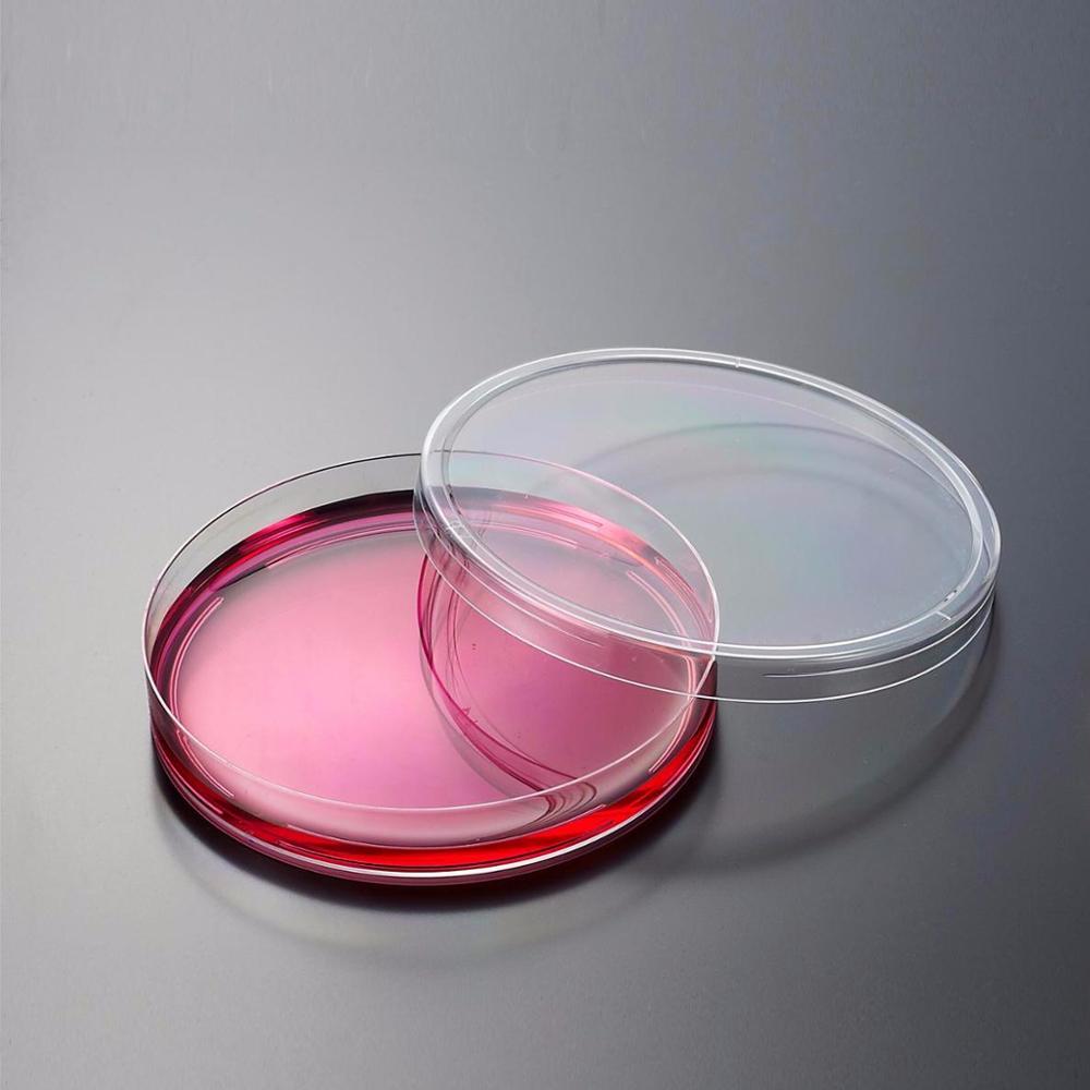 Sterilized 90x15mm Disposable Plastic Petri Dish Low Price Cell Culture Dish for Lab Medical Use