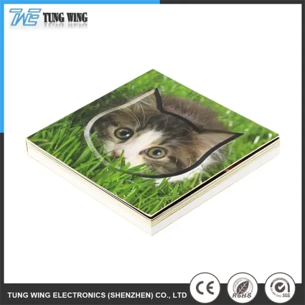 Customized Size ABS Material CE Certified Sound Board Talking Book for Children Education