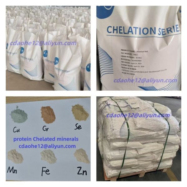 Animal Feed Additive Amino Acid Chelate Magnesium 10% Mg Proteinate Off White Powder