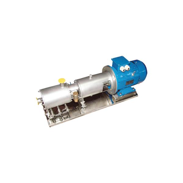 Explosion-Proof Homogenizer Pump for Solvent Emulsification 0.55-120hp