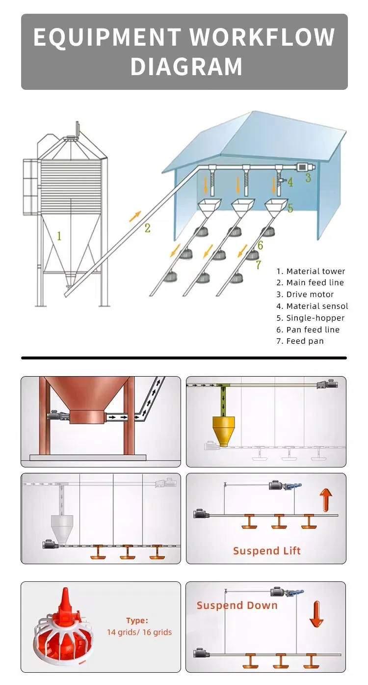 PP Material Automatic Poultry Feeding System Labor Saving For Chicken Care
