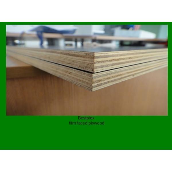 9mm brown film faced plywood with WBP glue