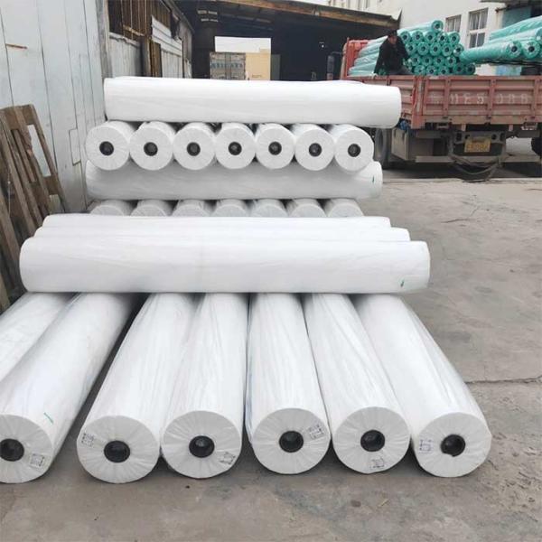 Recyclable Agriculture Non Woven Fabric 170cm Non Woven Polypropylene Roll Breathable