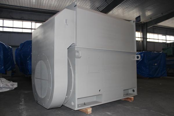 6kV IP54 HV Three Phase AC Motor 1485 RPM AC Asynchronous Motor