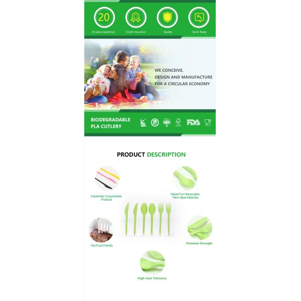 Plastic PLA Biodegradable Disposable Cutlery Bagasse Eco Friendly Disposable Flatware