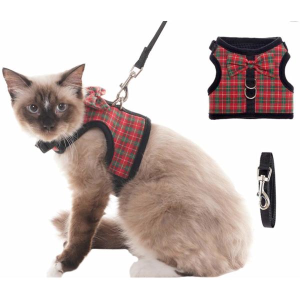 Cute Cat Harness Collar With Heavy D Rings