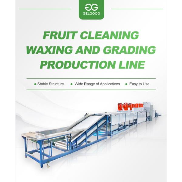 1t/H-5t/H Fruit Washing Equipment Fruit Washing Line For Fruit Export Sales