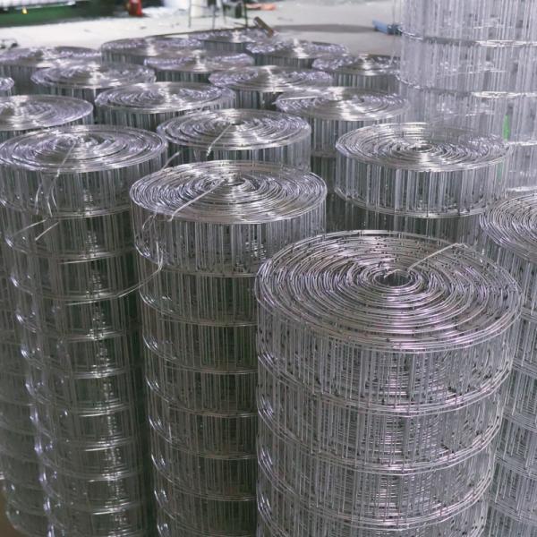 1/2X1/2 Galvanized Welded Wire Mesh Rolls For Garden Fence