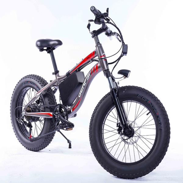 7 Speed Fat Tires Electric Bike 36V 10Ah Removable Lithium Ion Battery 350W Motor