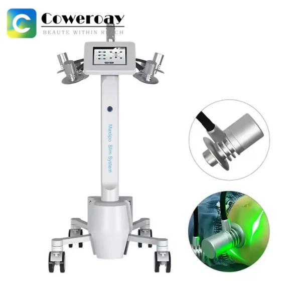 6D Red Light Laser 532nm Wavelength Weight Loss Beauty Machine For Fast Fat Reduce