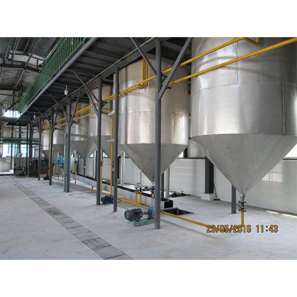 Rice Bran Oil Making Machinery Commercial Rotocel Extractor Seed Oil Press Machine Groundnut Oil Extraction Machine