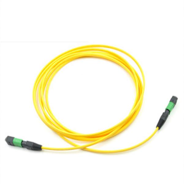 8 12 24 cores singlemode Multimode MTP MPO connector  fiber optic patch cord