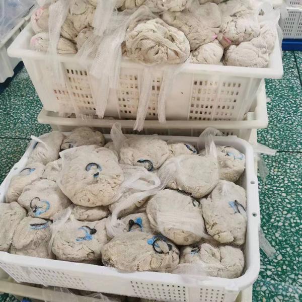 17-19mm Natural Goat Casings Dry Sausage Casing High Flexibility