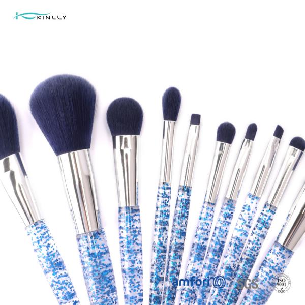 ensemble de cadeau de brosse du maquillage 10pcs