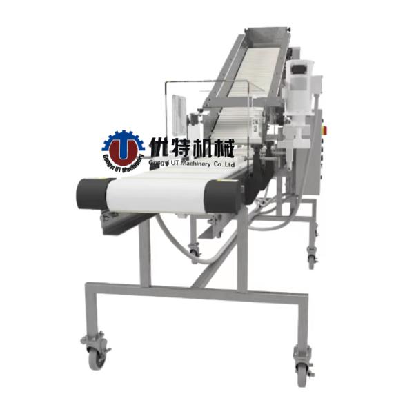 Пикантный салат Микс микрозеленые семена Сборщик для высокого уровня безопасности Профессиональный выбор