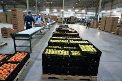 Construções e estruturas de exploração agrícola para o supermercado - vegetal e fruto