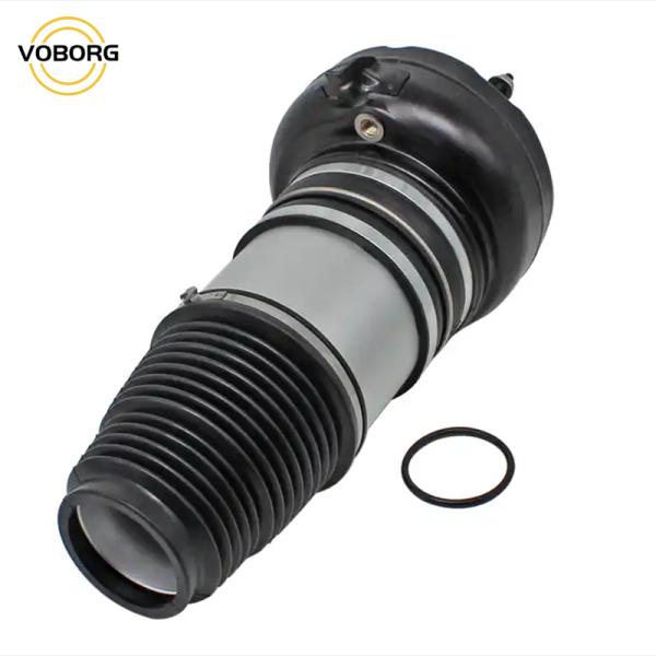 Premium Quality Auto Replacement Parts OE 95B616039 Parts Air Shock Absorbers for Porsche