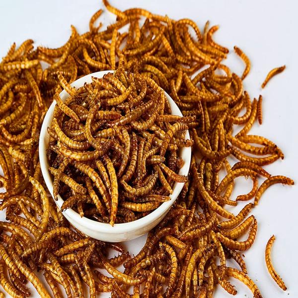 Dried Microwave Worm Bird High Protein 57% Pet Feed