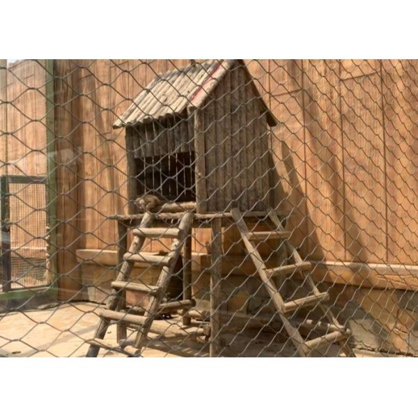 Attractive Aviary Mesh Optimizes Long term Protection for Bird Enclosure Facilities