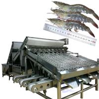 Machines de traitement pour le tri des produits de la mer et des crevettes, machines de tri des crevettes et des poissons, machines de tri des crevettes et des crevettes