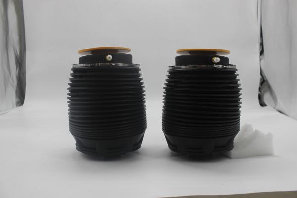 OEM sac de suspension aérienne arrière 55350-3M500 55360-3M500 pour Hyundai Rohens Equus