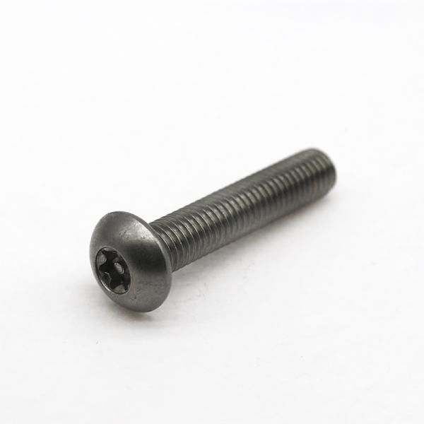 Industrial Custom Anti Theft Screw Stainless Steel Safety Fasteners
