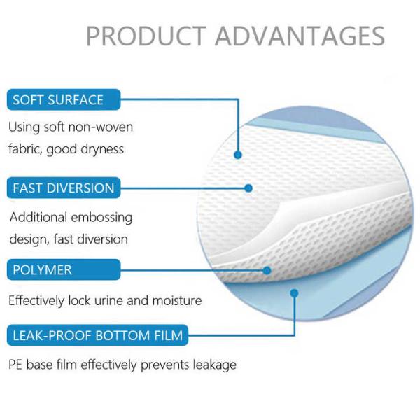OEM ODM Disposable Biodegradable Dog Hydrophilic Eco Friendly Pet Diaper