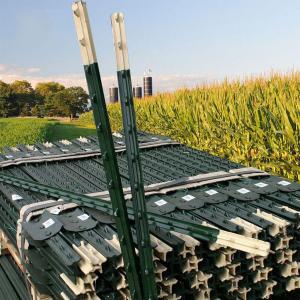 Green Painted Metal Fence T Post 6.5ft Steel Studded Fence Powder Coated