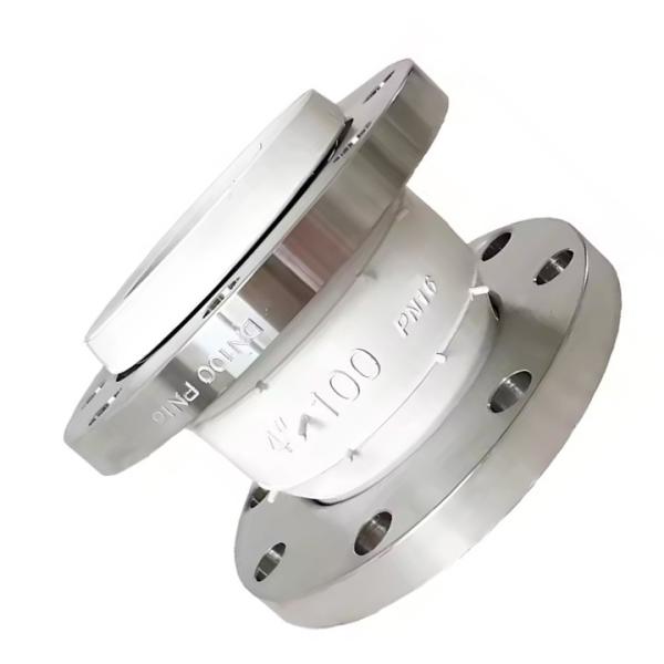 JIS 5K SS316 Flanges en caoutchouc de qualité alimentaire