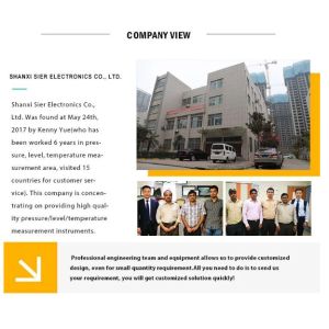 Shaanxi Sier Electronics Co., Ltd.