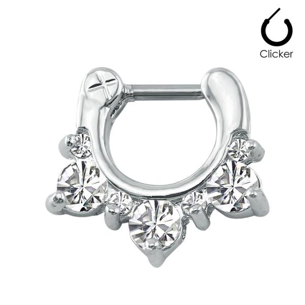 16G Nose Piercing Ring Indian Nose Septum Ring Clicker Nose Rings Piercing Body Jewelry Hoops Helix Piercing Ear Cartila