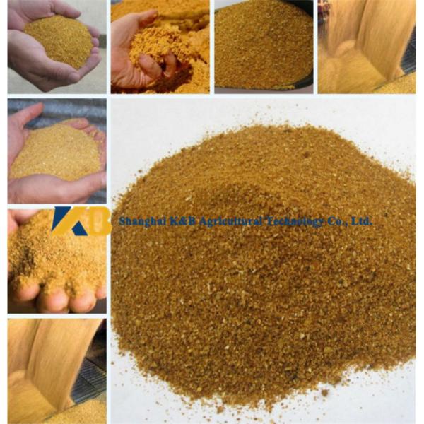 Raw Corn High Protein Powder Rich Nutrition For Shrimp Breed Aquatics