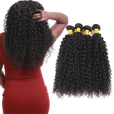 pacotes saudáveis do cabelo encaracolado do Virgin 8A, extensões encaracolados perversos do cabelo humano