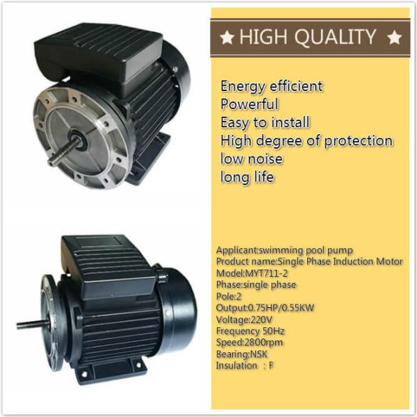 мотор индукции 50ХЗ/60ХЗ одиночной фазы 0.55кв для пластиковых насосов бассейна