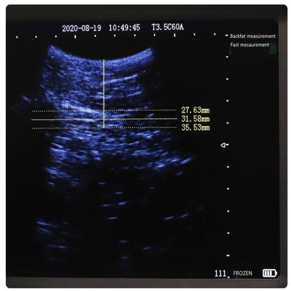 B 5.7 Inch Veterinary Ultrasound Portable Animal Enclosure Handheld Digital Veterinary Ultrasound Machines Veterinary Ultrasound Scanner