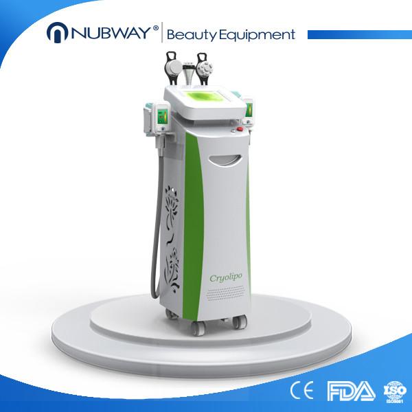 perfect cooling system fat freezing cryolipolysis machine, 5 interchangeable cryo handles