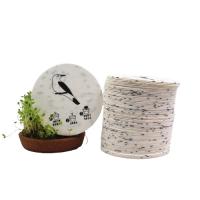 0.8mm papel em branco sementes embutidos cartões 100 folhas Eco-friendly