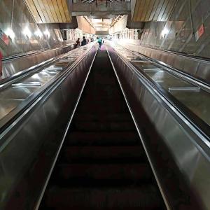 Versatile Residential Escalator – Up to 20m Rise Height with Remote Maintenance