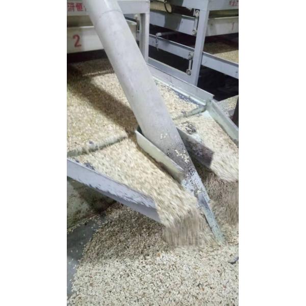 Huanan Rongxiang Agricultural Products Processing Co., Ltd.