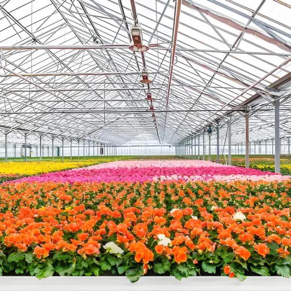 Invernadero Venlo de policarbonato para flores con sistemas de sombreado