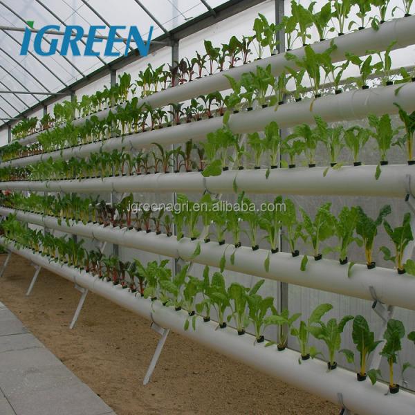 DWC deep water culture Hydroponics System Vertical Hydroponic For Agriculture