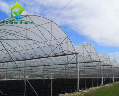 200micro PO PE Plastic Film Greenhouse Four Seasons Green House 6m 12m Span