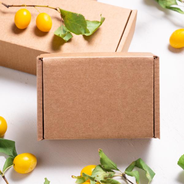 Custom Order Accepted Brown Kraft Carton Box for Small Item Packaging and Shipping