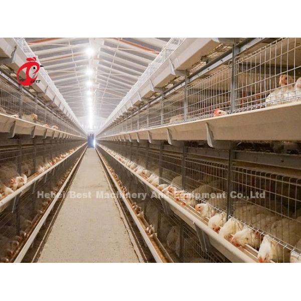 Galvanized A Or H Type Broiler Chicken Cage For One Day Old To Adult Chicken Doris