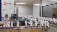 Máquina de embalaje de bebidas de 1000 ml 6000BPH totalmente automática
