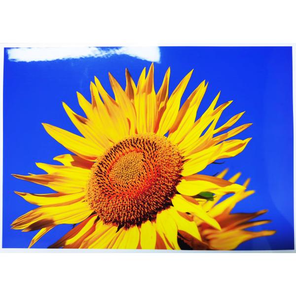 лоснистая бумага фото стикера 110gsm