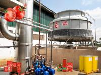 Linha de processamento serviço do Turnkey da mistura da ketchup de tomate 100T/D da parada de SS304 um