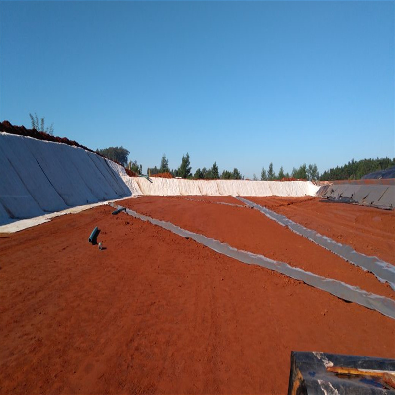 0.5mm- продукты Earthwork листа вкладыша пруда Geomembrane Hdpe Geotextile 2mm